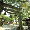 碇神社境内の様子