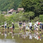 米づくり泥んこ体験12