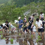 米づくり泥んこ体験14